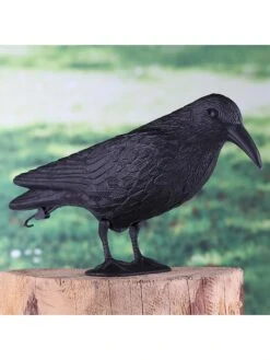 Dekofigur "Rabe" In Schwarz - (B)38 X (H)13 X (T)11 Cm -Freien Gartenserien Geschäft profigarden dekofigur rabe in schwarz b 38 x h 13 x t 11 cm 1