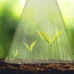 10 X Pflanzenhut In Grün - (B)19 X (H)22 X (T)19 Cm -Freien Gartenserien Geschäft relaxdays 10 x pflanzenhut in grun b 19 x h 22 x t 19 cm 2