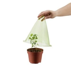 10 X Pflanzenhut In Grün - (B)19 X (H)22 X (T)19 Cm -Freien Gartenserien Geschäft relaxdays 10 x pflanzenhut in grun b 19 x h 22 x t 19 cm 5