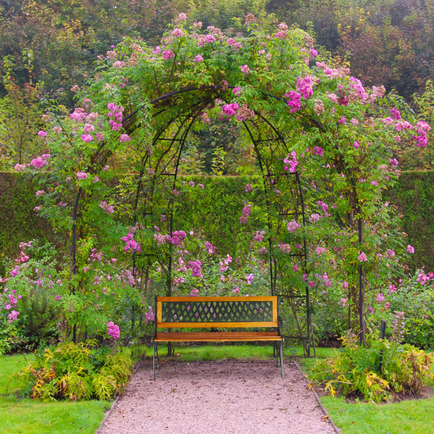 Gartenbank In Natur - (B)125 X (H)73 X (T)52 Cm 4 Gartenbank In Natur - (B)125 X (H)73 X (T)52 Cm – Bild 2