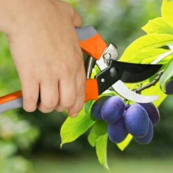 Gartenschere In Grau/ Orange -Freien Gartenserien Geschäft relaxdays gartenschere in grau orange 4