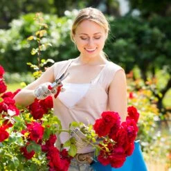 Rosenpavillon In Weiß - (B)160 X (H)250 X (T)160 Cm -Freien Gartenserien Geschäft relaxdays rosenpavillon in weiss b 160 x h 250 x t 160 cm 4